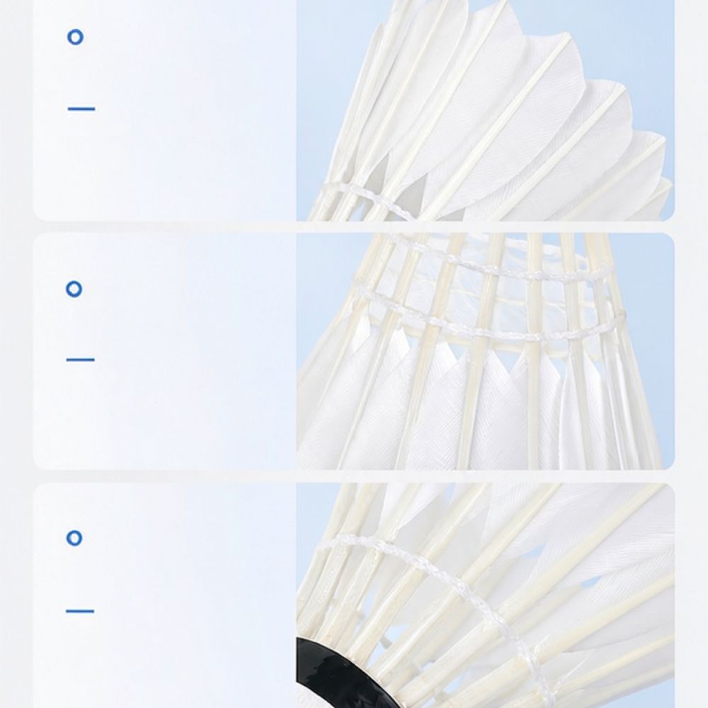 Professional Goose Feather Bad - đánh giá và giá Feather Shuttlecock