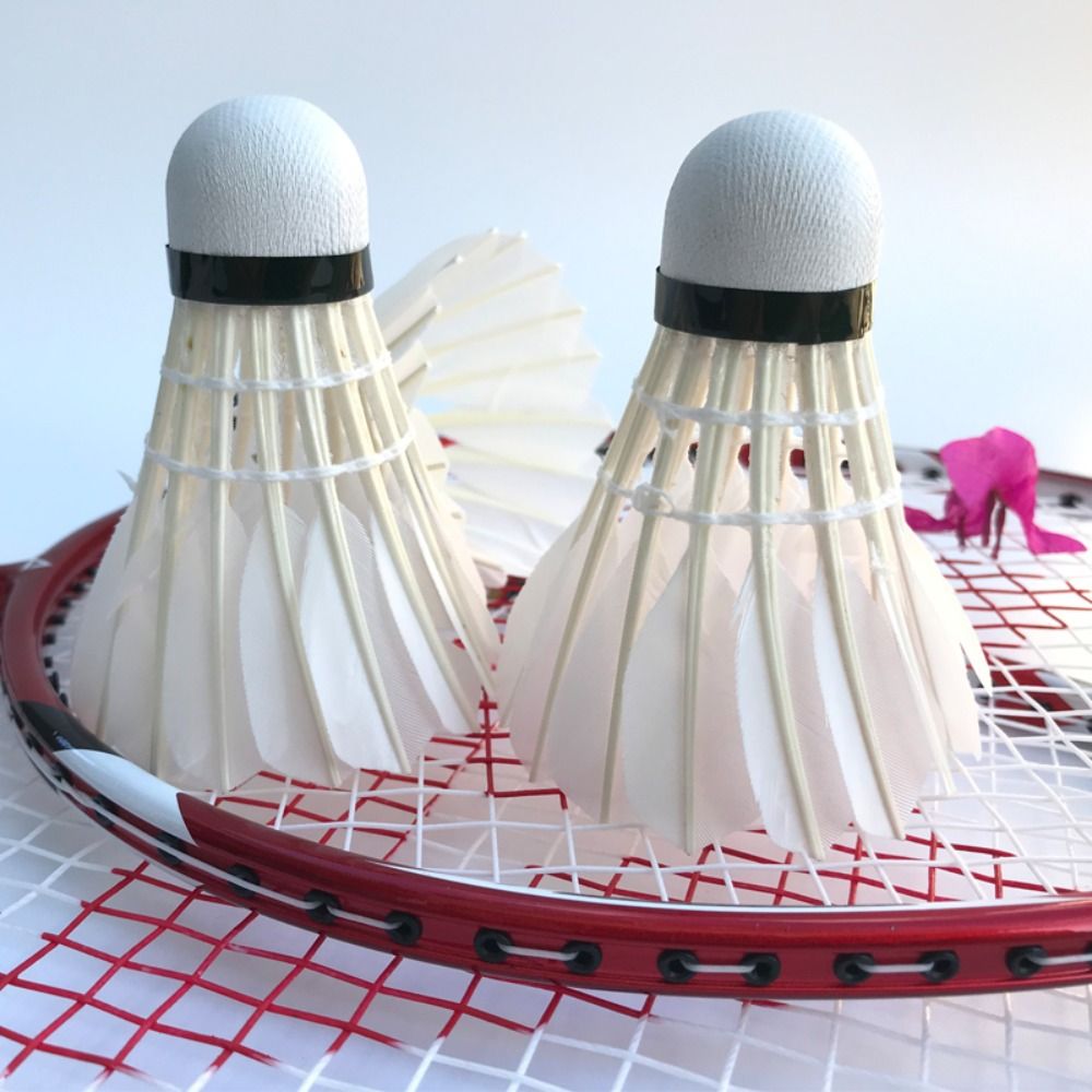 3/6/12Pcs New White Badminton  - đánh giá và giá Feather Shuttlecock